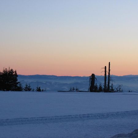 Villa Kostic Kopaonik Kültér fotó