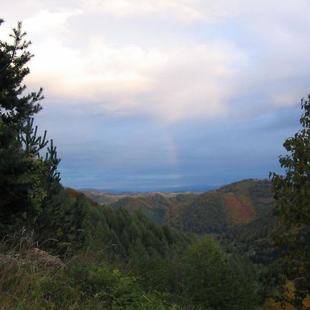 Villa Kostic Kopaonik Kültér fotó