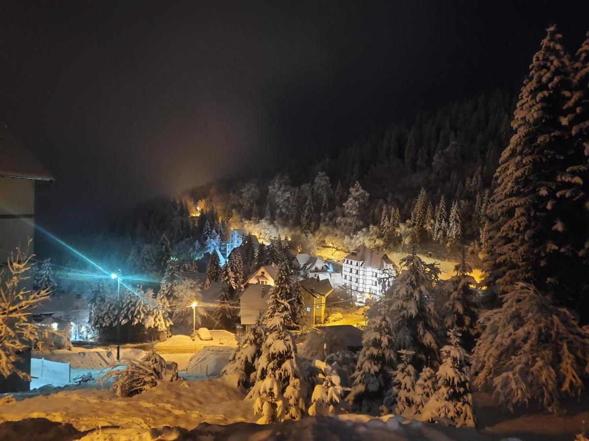 Villa Kostic Kopaonik Kültér fotó