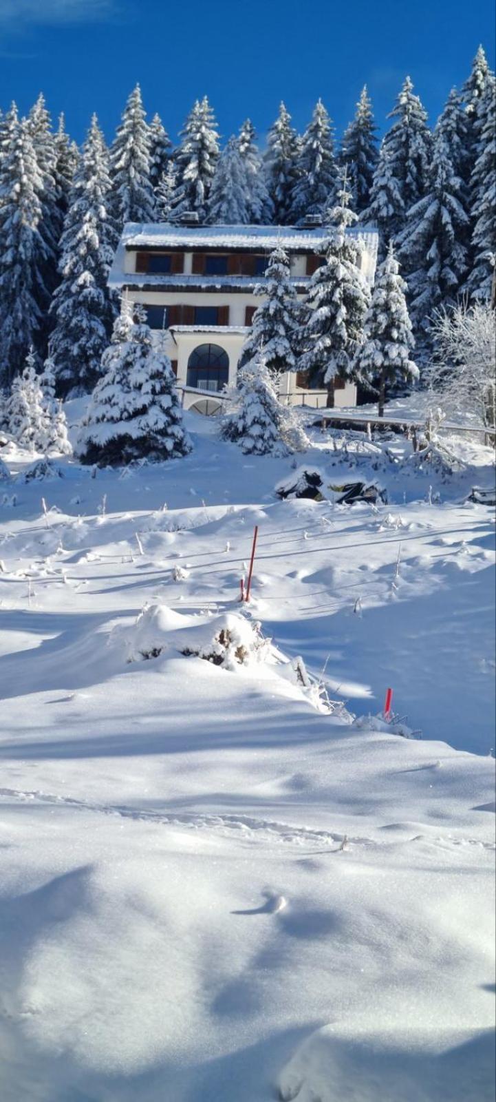 Villa Kostic Kopaonik Kültér fotó