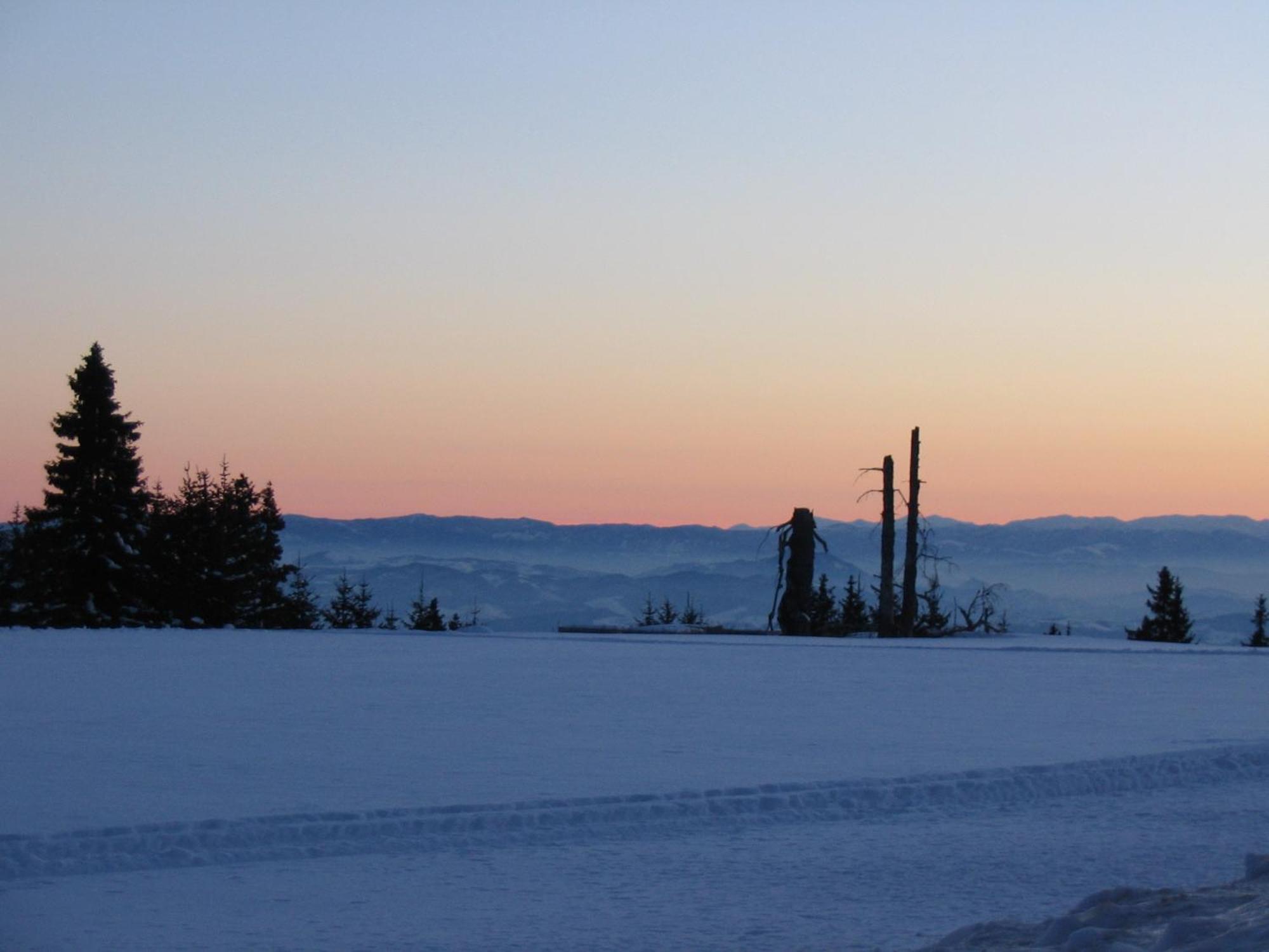 Villa Kostic Kopaonik Kültér fotó