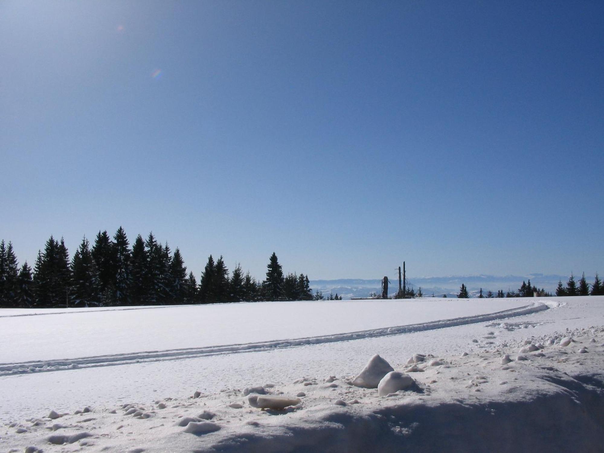 Villa Kostic Kopaonik Kültér fotó