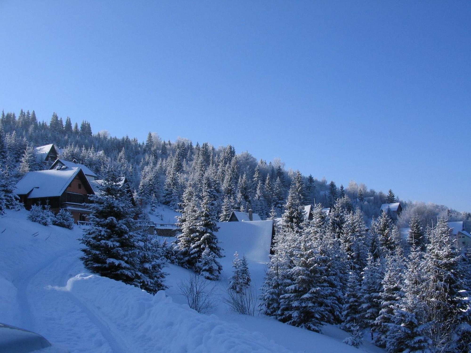 Villa Kostic Kopaonik Kültér fotó