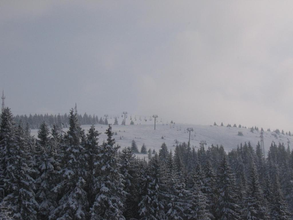 Villa Kostic Kopaonik Kültér fotó