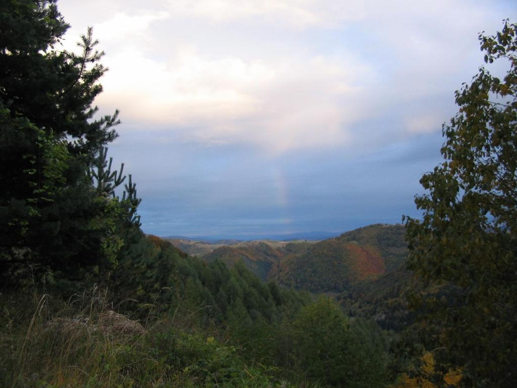 Villa Kostic Kopaonik Kültér fotó