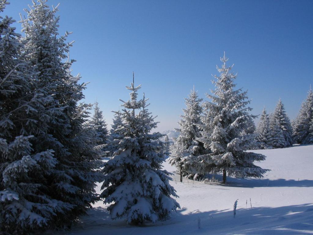 Villa Kostic Kopaonik Kültér fotó