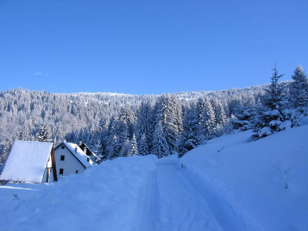 Villa Kostic Kopaonik Kültér fotó