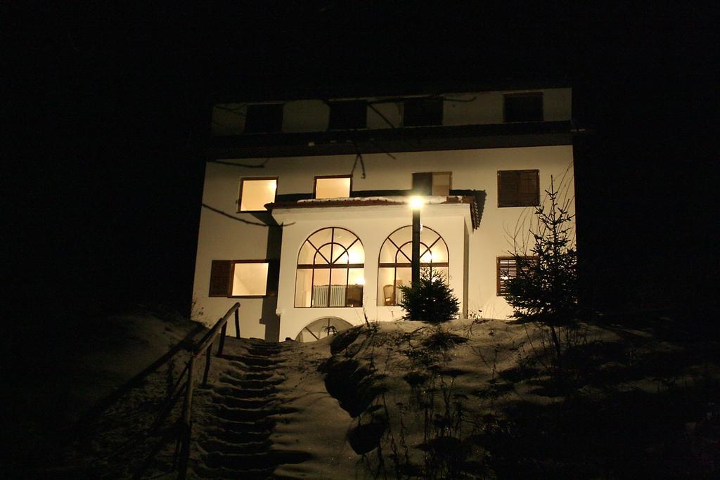 Villa Kostic Kopaonik Kültér fotó