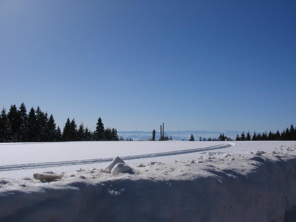 Villa Kostic Kopaonik Kültér fotó