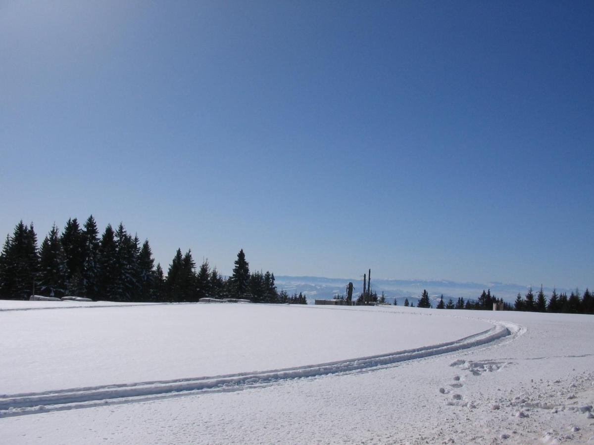 Villa Kostic Kopaonik Kültér fotó